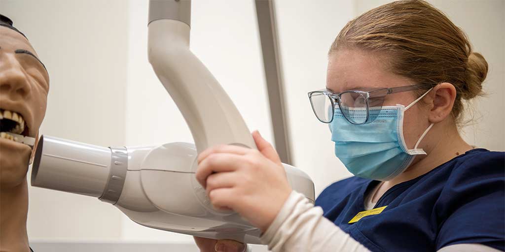 Image for Dental Assisting (Levels I & II)