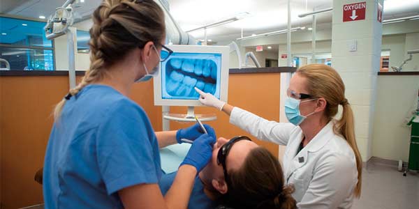 Image for Dental Hygiene