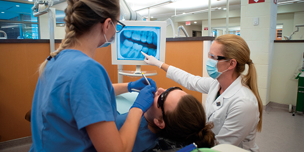 Image for Dental Hygiene