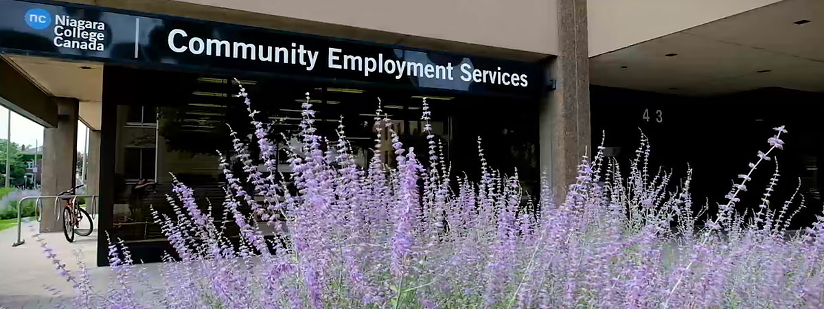 Beds of purple flowers in front of the Community Employment Services entrance