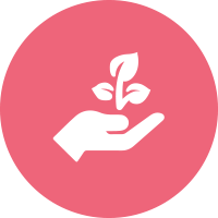 Person holding a young plant