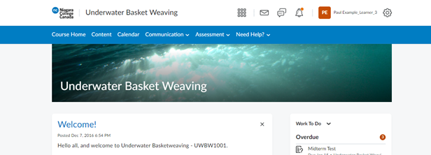 Screenshot of Brightspace Course Homepage