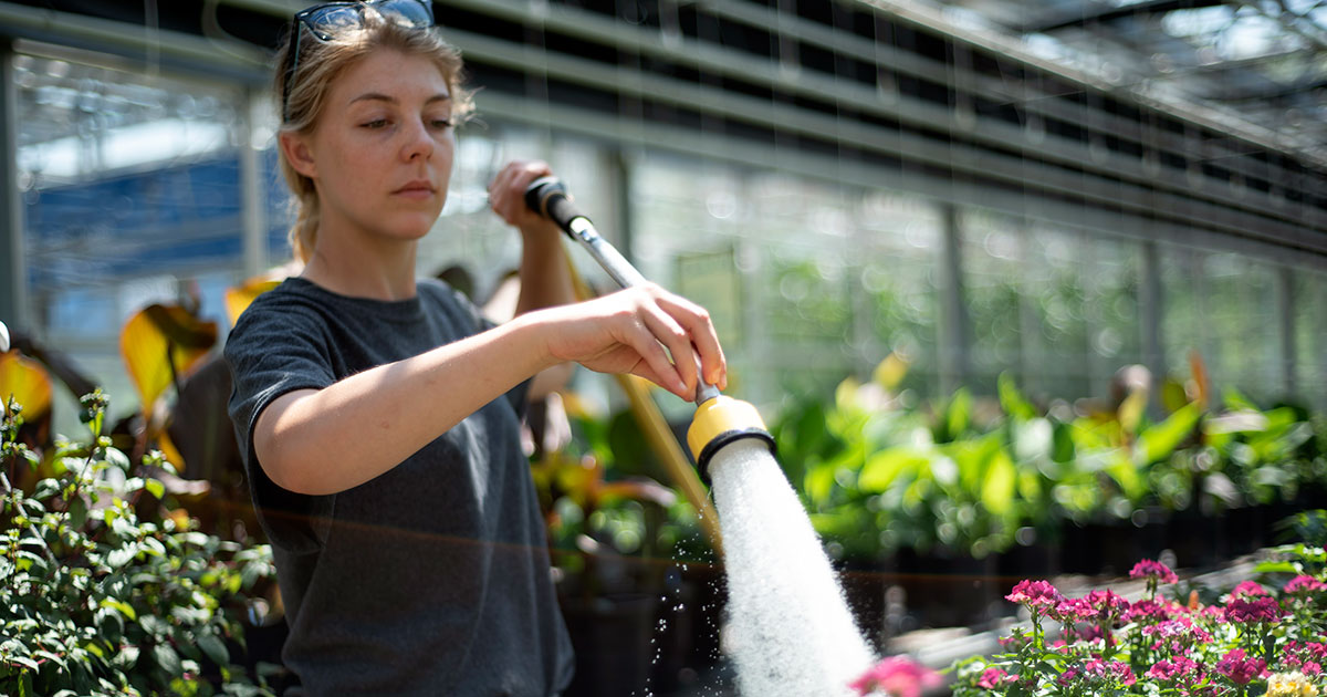 Greenhouse Technician (Coop) Program Niagara College