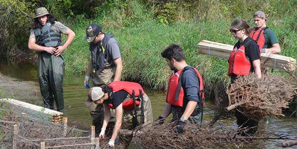 Image for Environmental Technician – Field and Laboratory (Co-op) 