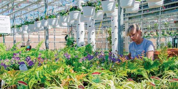 Image for Greenhouse Technician