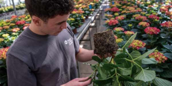 Image for Greenhouse Technician <br />(Co-op)