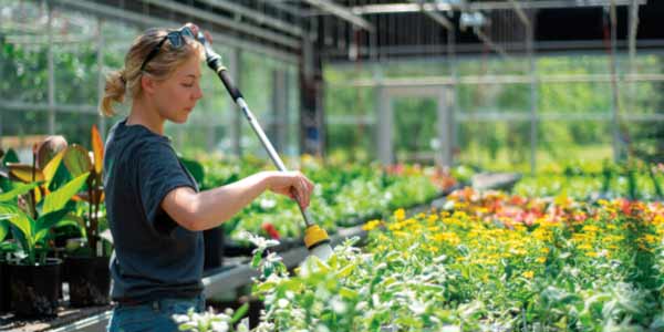 Image for Horticultural Technician