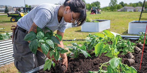 Image for Horticulture Technician <br />(Co-op)