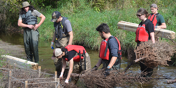 Image for Environmental Technician – Field and Laboratory (Co-op) 