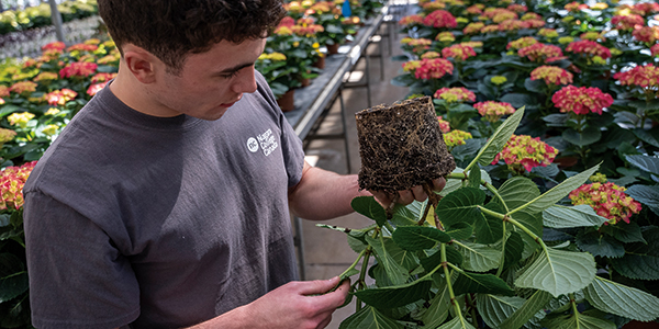 Image for Greenhouse Technician <br />(Co-op)
