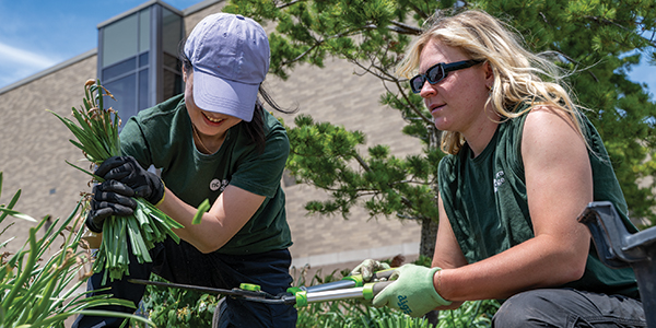 Image for Horticultural Technician