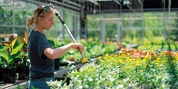 Image for Greenhouse Technician