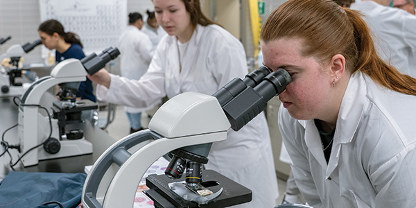 Image for Pre-Health Sciences – Pathway to Certificates and Diplomas