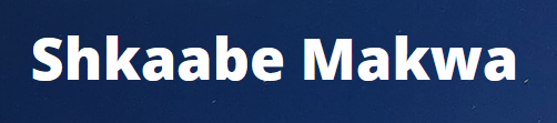Go to Shkaabe Makwa website