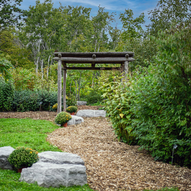 A wooden structure at the end of a wood chip path surrounded by a forest