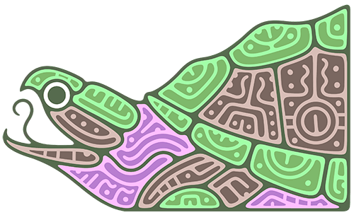 Drawing of turtle.