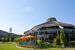 The Benchmark building and patio with bright orange umbrellas in the sunshine