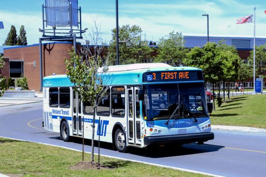 welland-transit-bus-summer.jpg