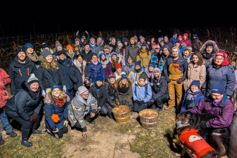 Icewine_Pick_Jan14_17-Group.jpg