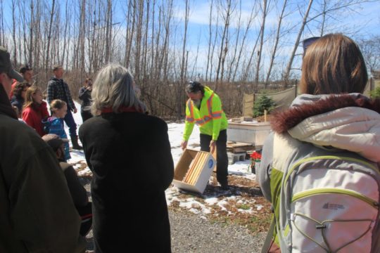 Apiary-tour_1.jpg