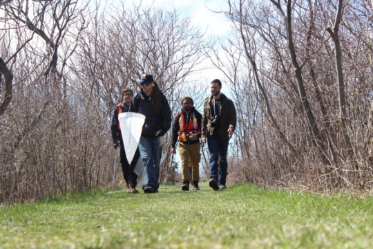 Entomology-hike-scaled.jpg