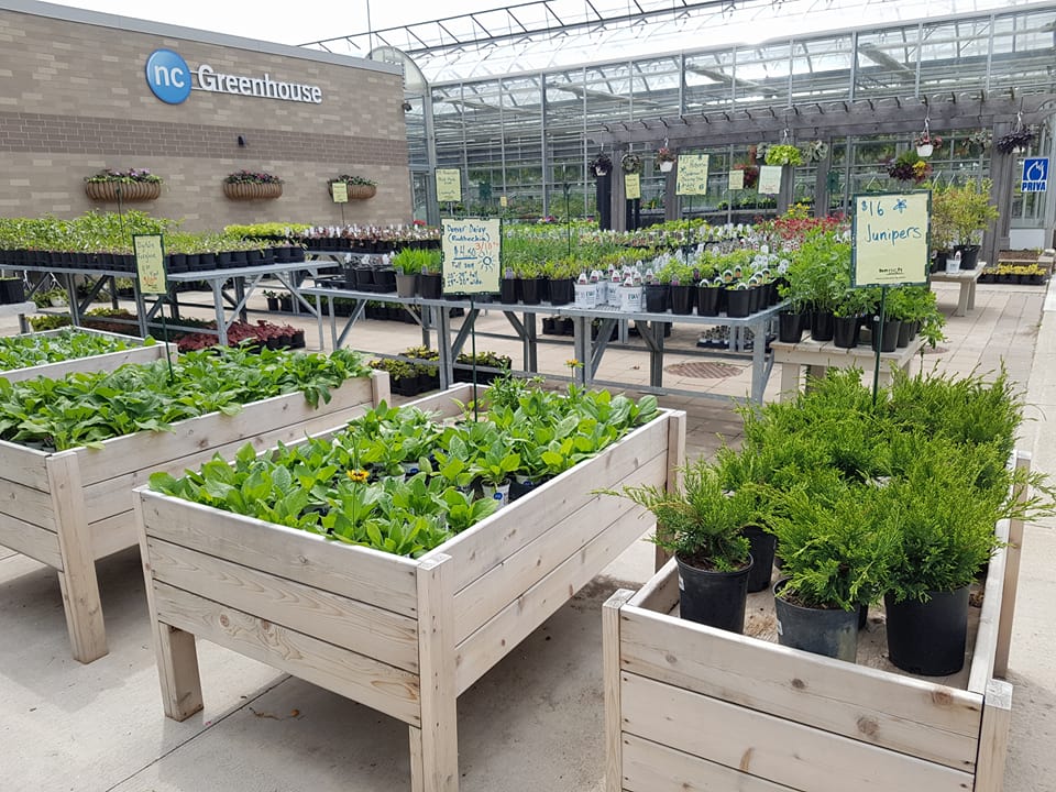 Greenhouse clearance sale for Niagara College staff and students InsideNC