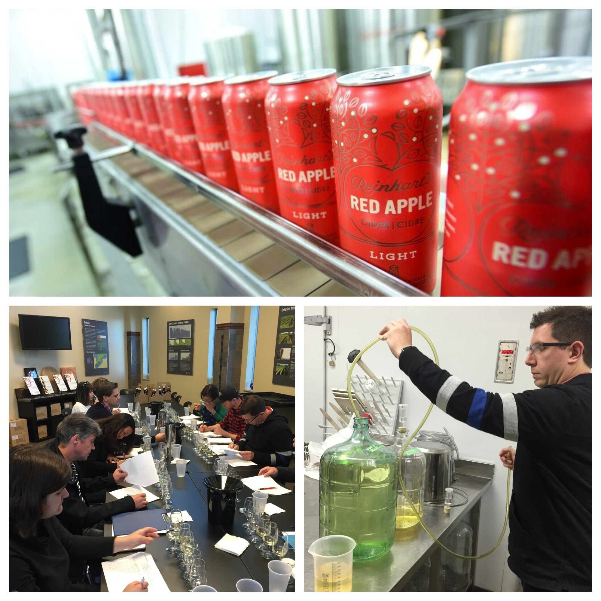 NC Research Team at the core of unique 'hard cider' launch InsideNC