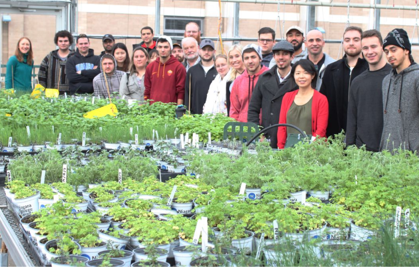 Horticulture-students-culinary-herbs-GH.png