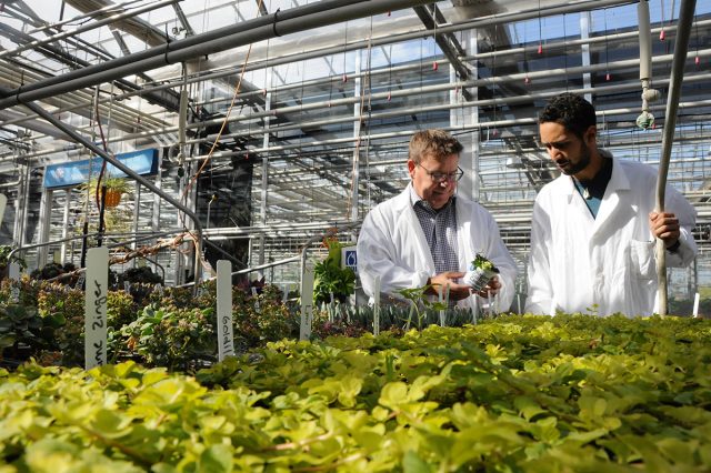 niagaracollegegreenhouse.jpg.size_.custom.crop_.640x426.jpg