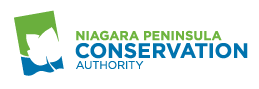 npca_logo.png