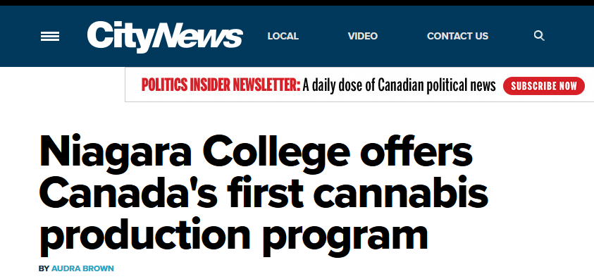 city-news-headline.png