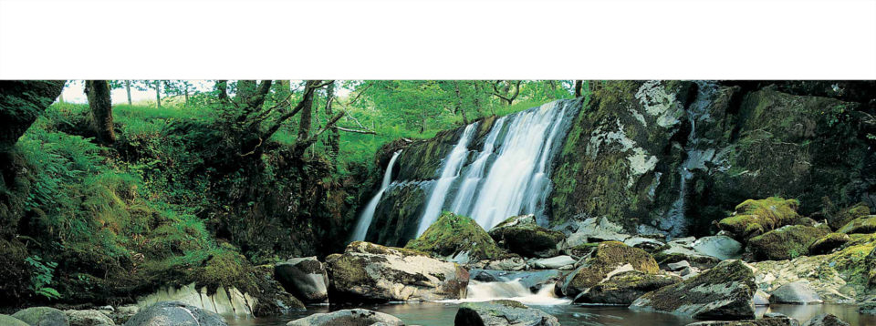 slider-forest-waterfall-2000_White.jpg