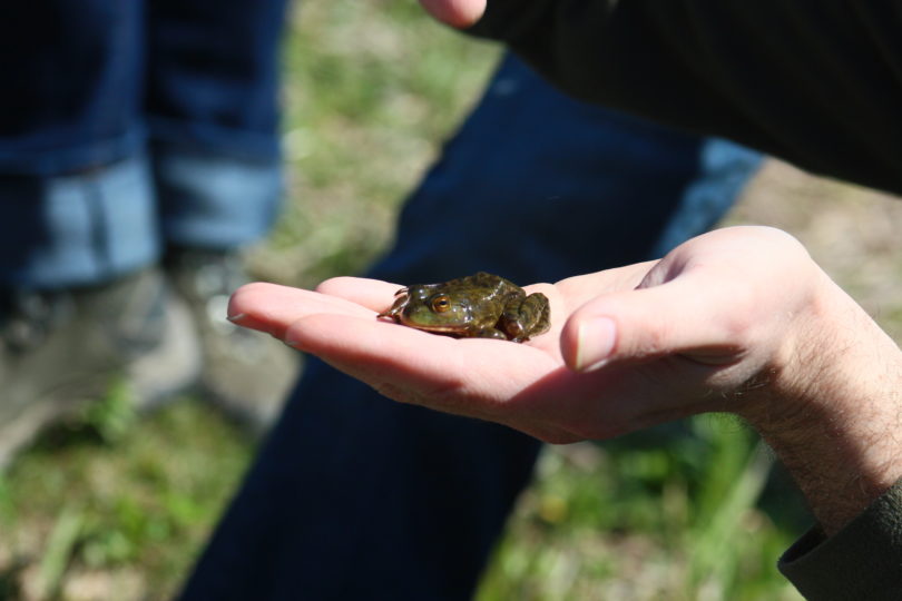 NCBioBlitz067-scaled.jpg