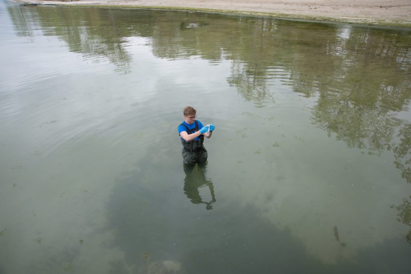 Swim-Drink-Fish-staff.jpg