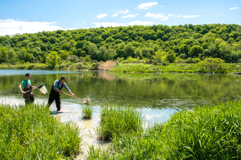 Students-collecting-bethos-during-the-Ontario-Biodiversity-Summit-.jpg