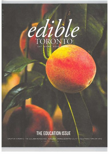 scan-cover.jpg