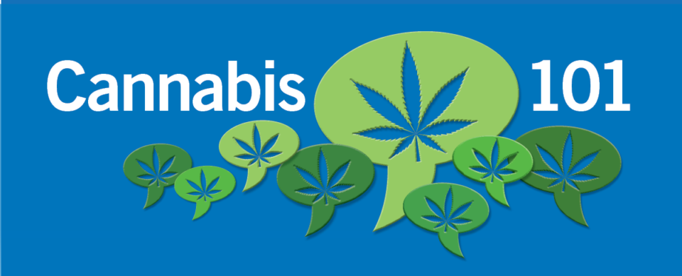 cannabis101-e1570030954478.png