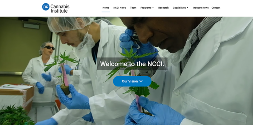 NCCI-new-website.png