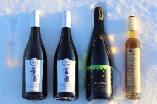 virtual-wine-tasting-experience-United-Way.jpg