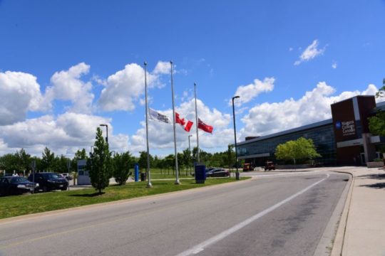 Flags-half-mast-810x540-1.jpg