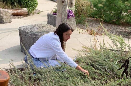 Elaine-Sage-Harvest-2020-Indigenous-e1631732671873.jpg