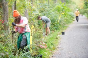 Two young males are planting trees along a paved trail in the forest.