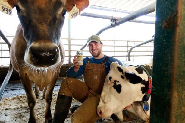 a dairy farmer kneels with cows beside him and holds up a can of milk stout beer