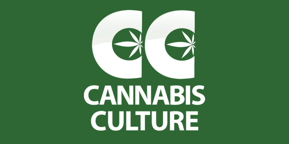 cannabis-culture-magazine.jpg