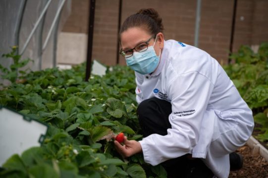 Michelle-Lang-Garden.jpg