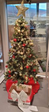 Library-Christmas-tree-for-toy-food-drive-Welland-Campus-e1668193474922.jpg