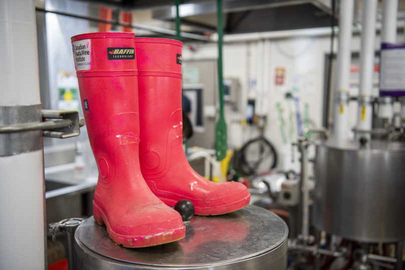 Pink-Boots-Teaching-Brewery-scaled.jpg