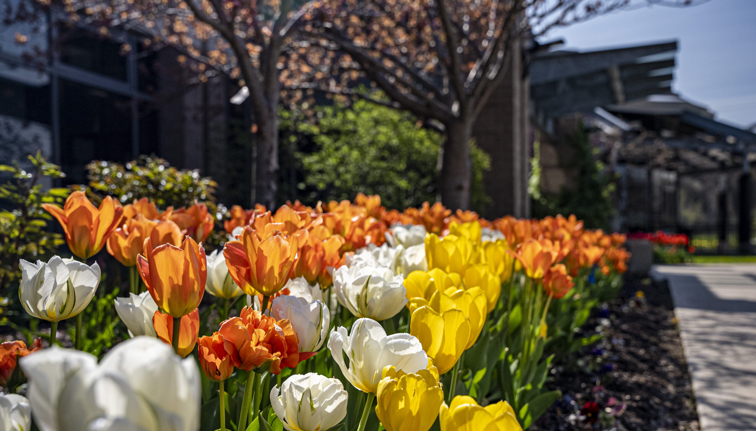 College operations for midterm break, Canada Day InsideNC