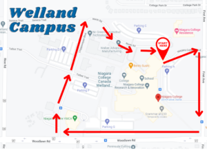 a colourful campus map with a walking route outlined