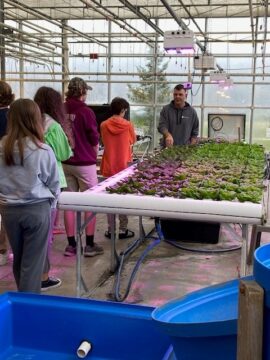 Greenhouse-5.jpg